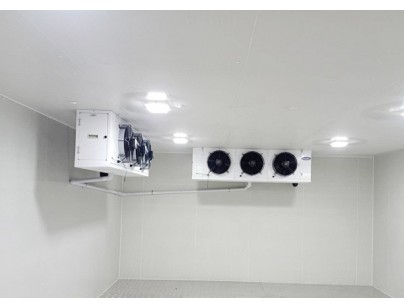 四川雷波縣馬湖優佳莼菜速凍冷庫工程建造方案