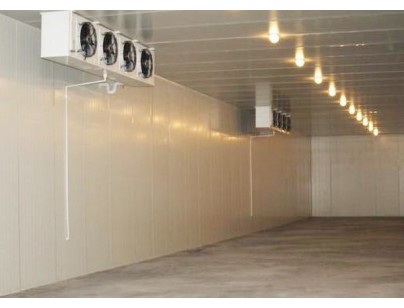 福建東南電化(低溫化學品）化工原料防爆冷庫工程建造方案