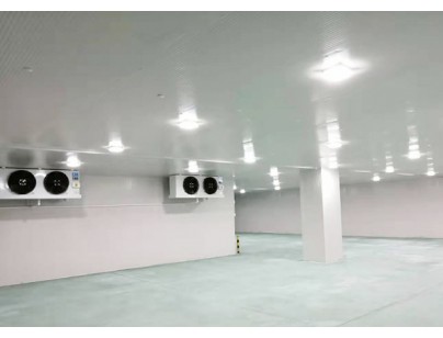 廣東完美400㎡日用品恒溫庫、冷藏庫（防爆冷庫）工程建造方案