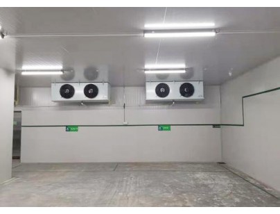 徐州血站95m3醫藥自動化冷庫工程建造方案