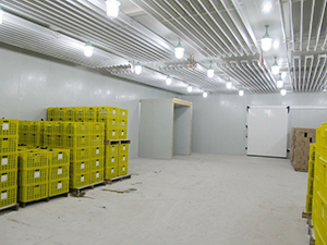 速凍冷庫(kù)完工內(nèi)景圖片