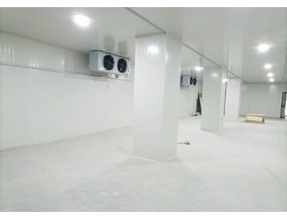 上海4100立方米豬肉屠宰加工冷庫規劃工程項目