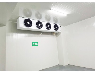 上海佰誠醫療1100㎡藥品陰涼庫（冷藏冷凍庫）新工程案例