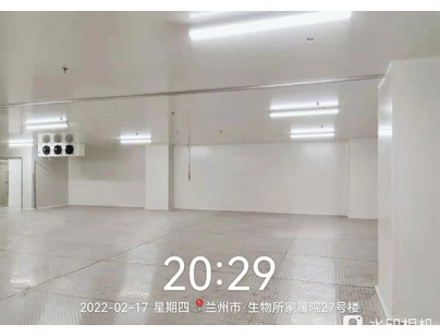 蘭州生物制品研究所7000立方米新冠疫苗冷庫建設工程案例