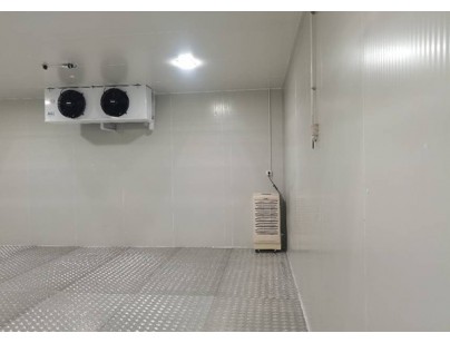 上海優(yōu)寧維集團(tuán)生物醫(yī)藥冷藏、冷凍庫工程案例