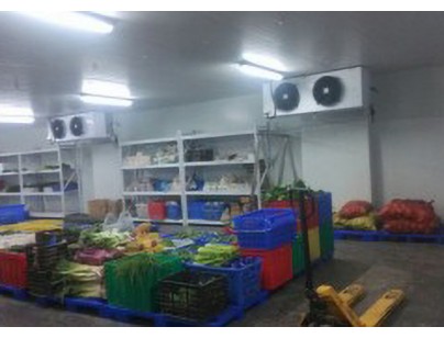 成都環球會展配送中心1000立方大型冷庫工程建造方案