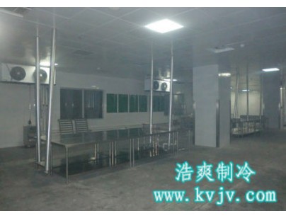 成都環球會展配送中心1000立方大型冷庫工程建造方案