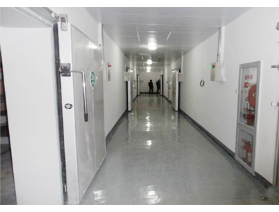 上海禾煜貿易45000m3大型食品冷庫工程建造方案