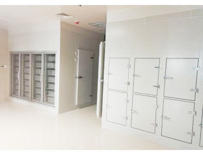 上海新興醫藥1200立方米血漿冷庫（低溫醫藥冷凍庫）安裝工程