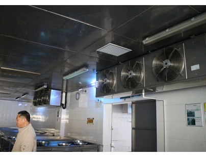 湖北周黑鴨80000m3生產加工型成品低溫食品冷庫工程建造方案