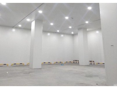 貴州畢節8000立方米果蔬氣調庫工程建造方案