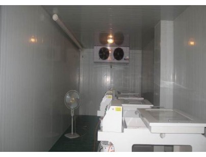 中國熱帶農(nóng)業(yè)科學(xué)院環(huán)境與植物保護研究所熱帶果蔬實驗室氣調(diào)庫工程建造方案