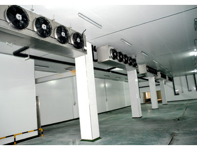 湖北華統蕙民食品豬肉屠宰場冷庫工程建造方案