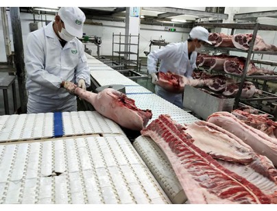 湖北華統蕙民食品豬肉屠宰場冷庫工程建造方案