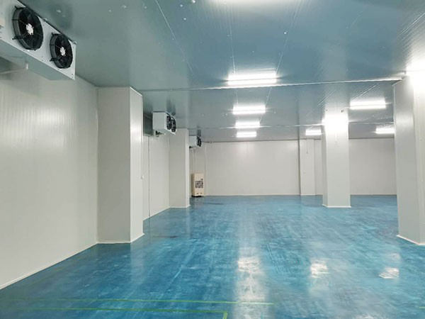 10000平米大型冷庫建設多少錢一平方?