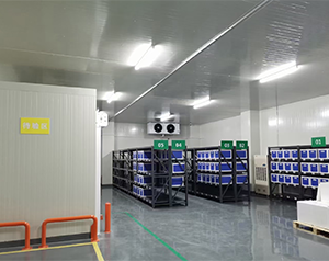 建造醫療器械冷庫溫濕度要求多少度合適？