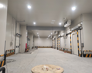 建造3000㎡農產品氣調保鮮冷庫造價大概投資多少錢？