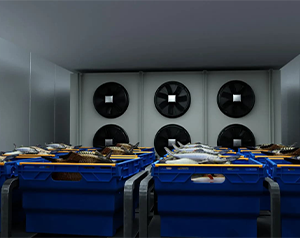 安裝10000平生鮮電商冷庫有哪些因素會影響投資預算？