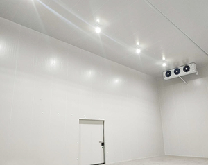 2000噸冷庫應(yīng)該建多大？造價(jià)成本投資多少錢？