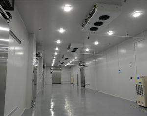 gsp醫藥冷庫(疫苗冷庫)建造多大面積合適