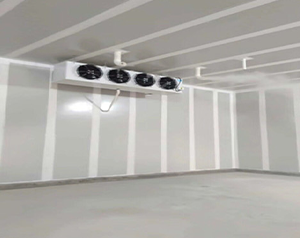 水果冷庫建設多少錢一平方