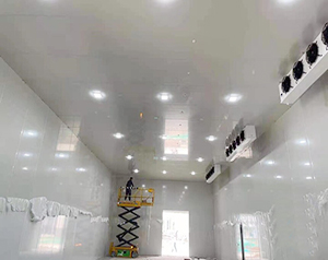 菜市場(chǎng)冷庫(kù)安裝費(fèi)用大概需要多少錢一平方米？