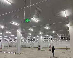 菜市場(chǎng)冷庫(kù)