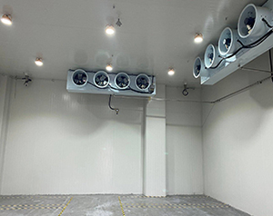 防爆冷庫是什么意思？化工防爆冷庫廠家聯系方式