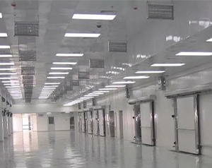 物流配送冷庫（生鮮冷庫）設計安裝造價多少