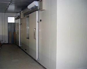 榴蓮冷凍庫、榴蓮冷庫貯藏技術、榴蓮速凍庫建造成本多少