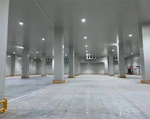 你知道未來哪種冷庫更有市場潛力，有&ldquo;錢&rdquo;景？