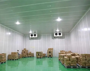 安裝10000m&sup3;生鮮物流冷藏庫（低溫倉庫）建設(shè)廠家收費(fèi)標(biāo)準(zhǔn)
