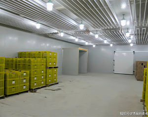 60噸大白菜在保鮮庫可以儲存多久，貯藏溫度是多少？