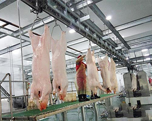 豬肉加工廠冷庫如何進(jìn)行設(shè)計建造？