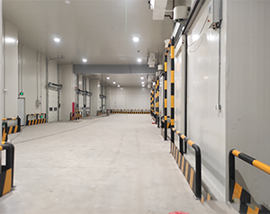 蘋果冷庫儲藏標準是什么？