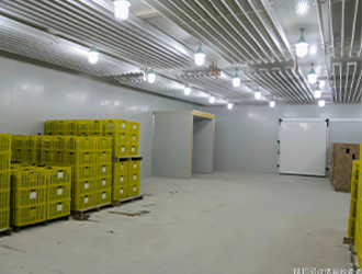 500噸蔬菜保鮮冷庫(kù)造價(jià)多少錢(qián)