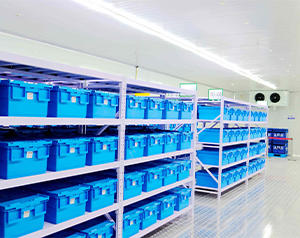 醫藥冷庫中需要哪些設備