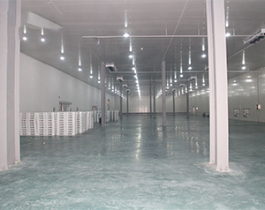 生鮮冷鏈倉(cāng)儲(chǔ)規(guī)劃設(shè)計(jì)