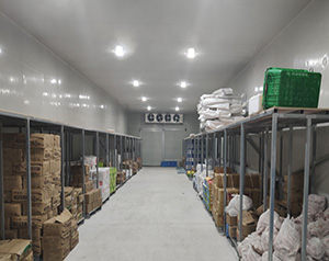 四川省凍庫安裝造價(jià)