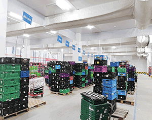 100噸冷庫造價大概多少錢？