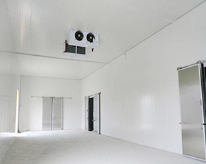 速凍冷庫緩沖間設計要求