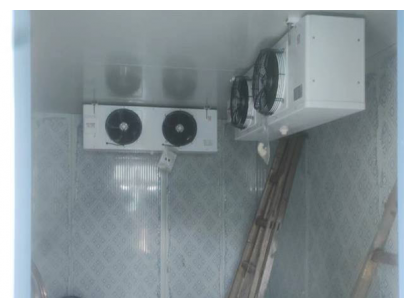 上海金山60立方米醫藥冷庫建造工程項目