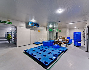 血清冷庫建造的標準要求是什么