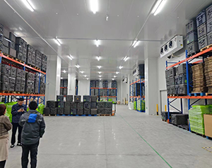 專業(yè)藥品冷庫(kù)安裝設(shè)計(jì),