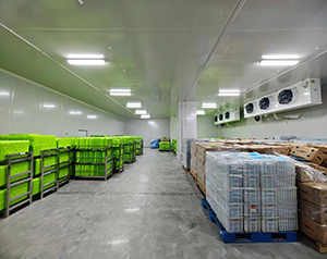 藥品冷庫(kù)多少錢