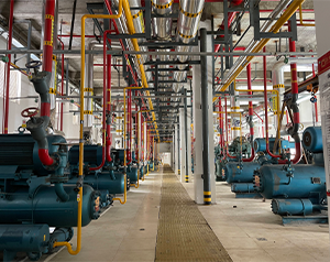 冷庫裝卸自動化操作規程有哪些？