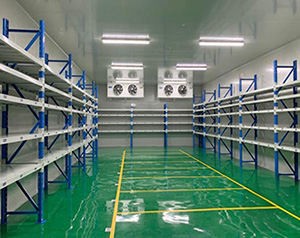 企業(yè)中的部分危險化學(xué)品為什么要放冷庫