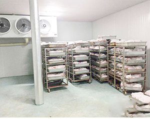 屠宰場冷鏈物流設施項目實施方案