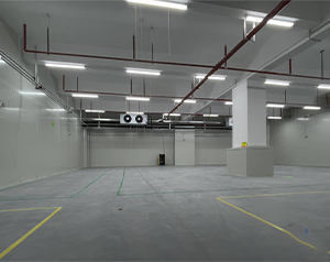 氣調冷庫建成后如何正確儲存果蔬？