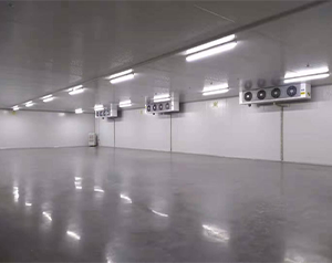 海南1500平醫藥倉庫冷庫造價多少錢？